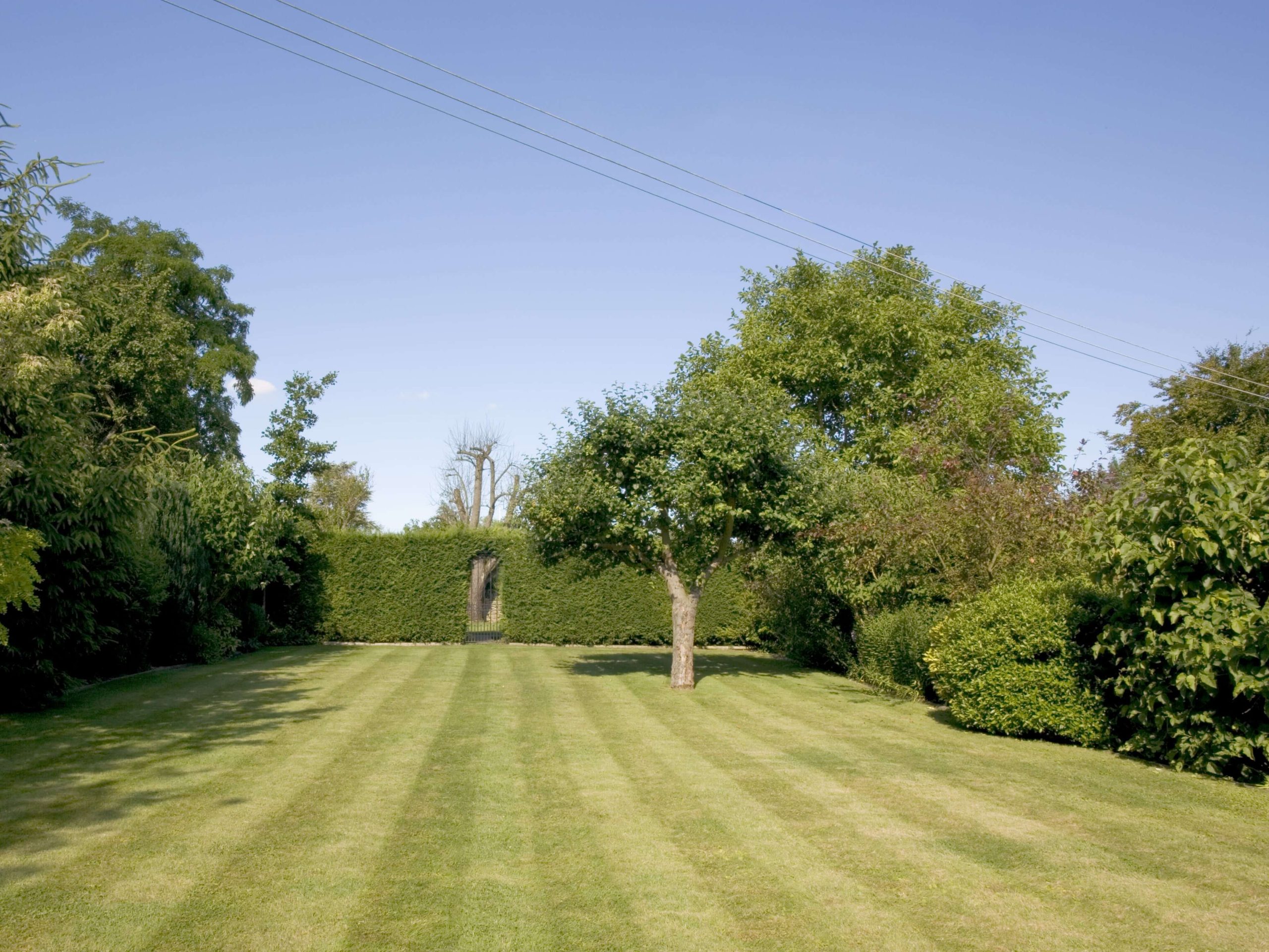 Lawn Mowing/Hedge Trimming Surbiton KT6/KT5
