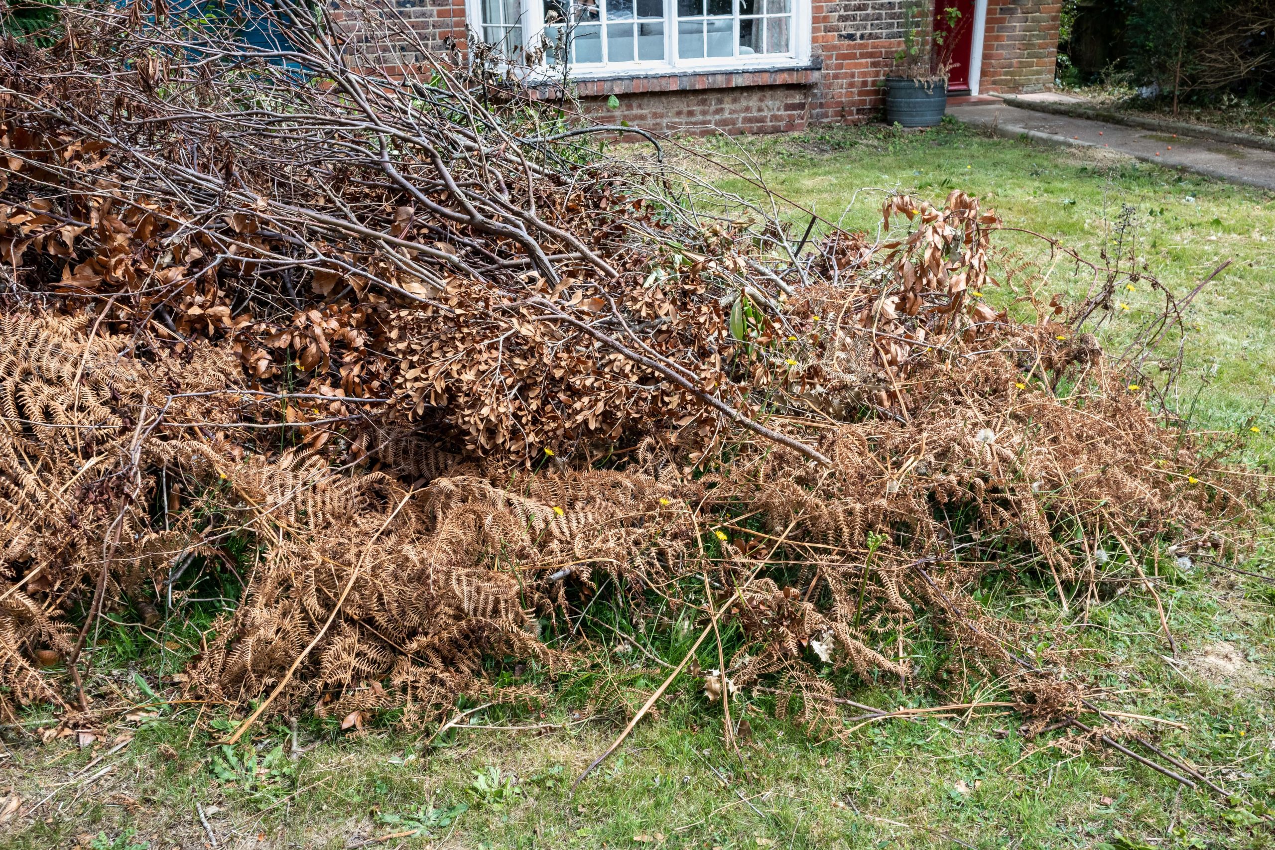 Garden Clearance Surbiton KT6/KT5
