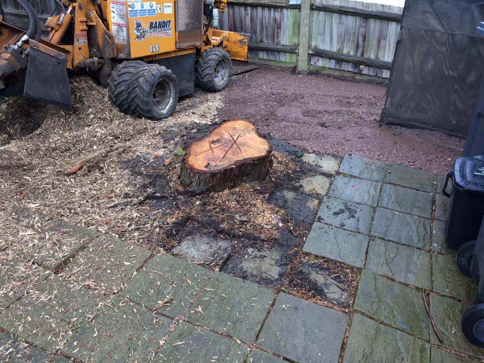 Tree Surgeons Surbiton KT6/KT5