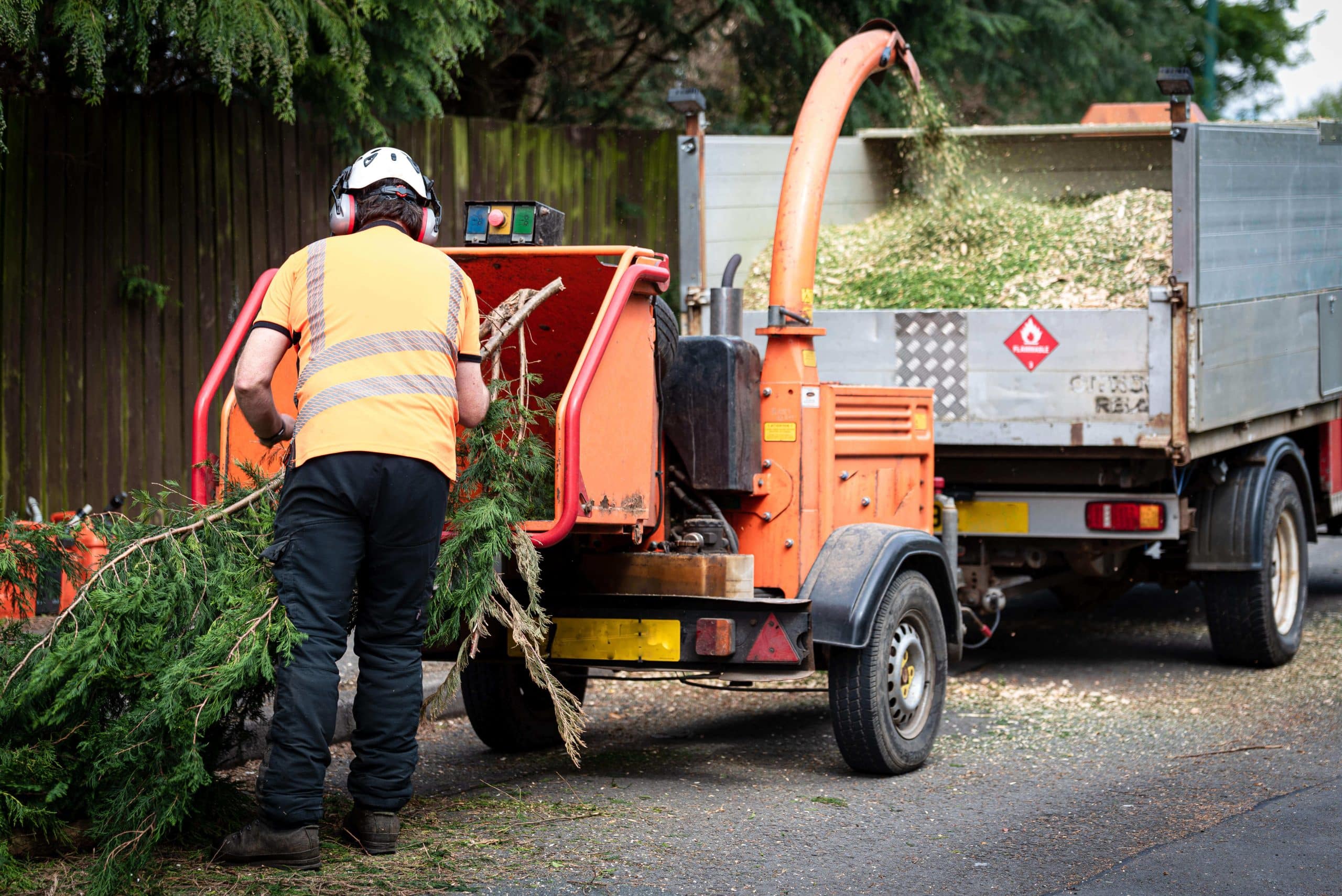 Tree Stump Grinding/Removal Surbiton KT6/KT5